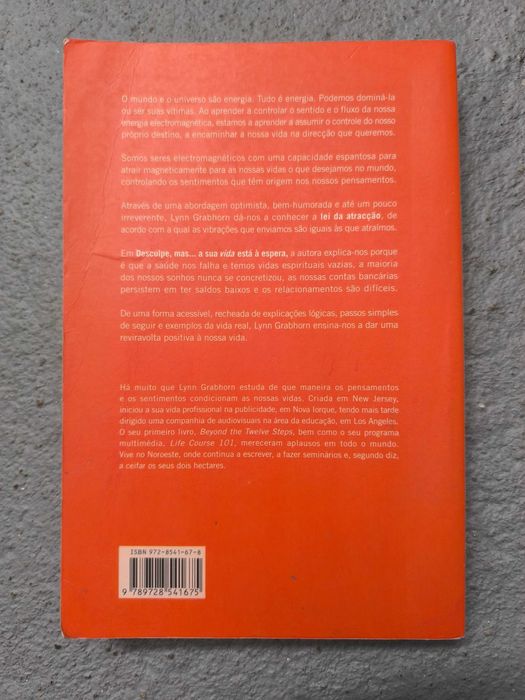 Desculpe, mas... a sua vida está à espera — Lynn Grabhorn