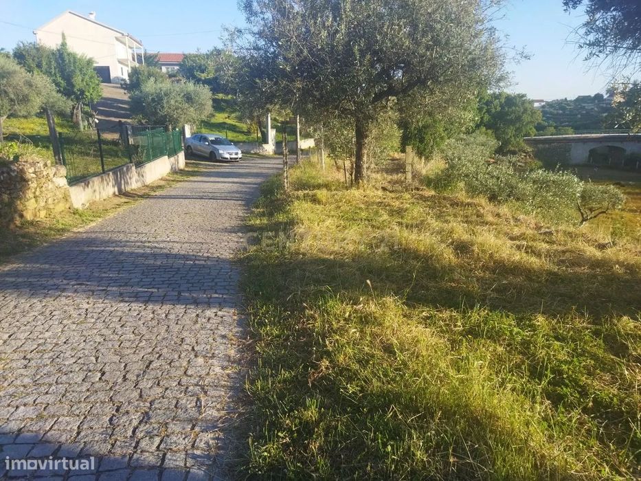 Terreno rústico | São Vicente da Beira, Castelo Branco