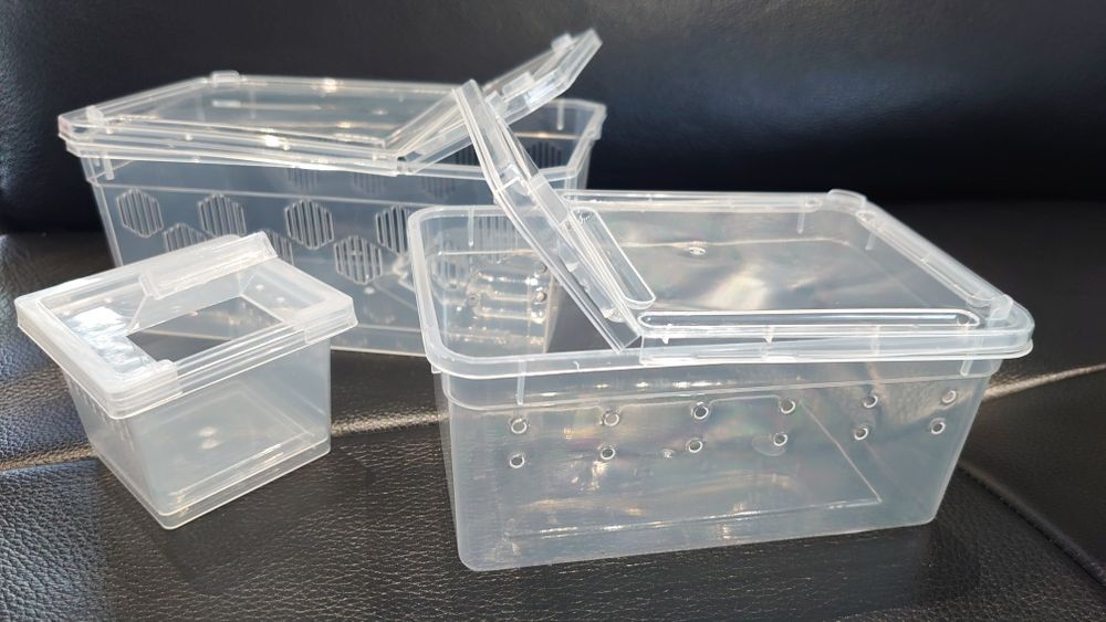 Terrarium plastikowe pojemnik box ptasznik + GRATIS !