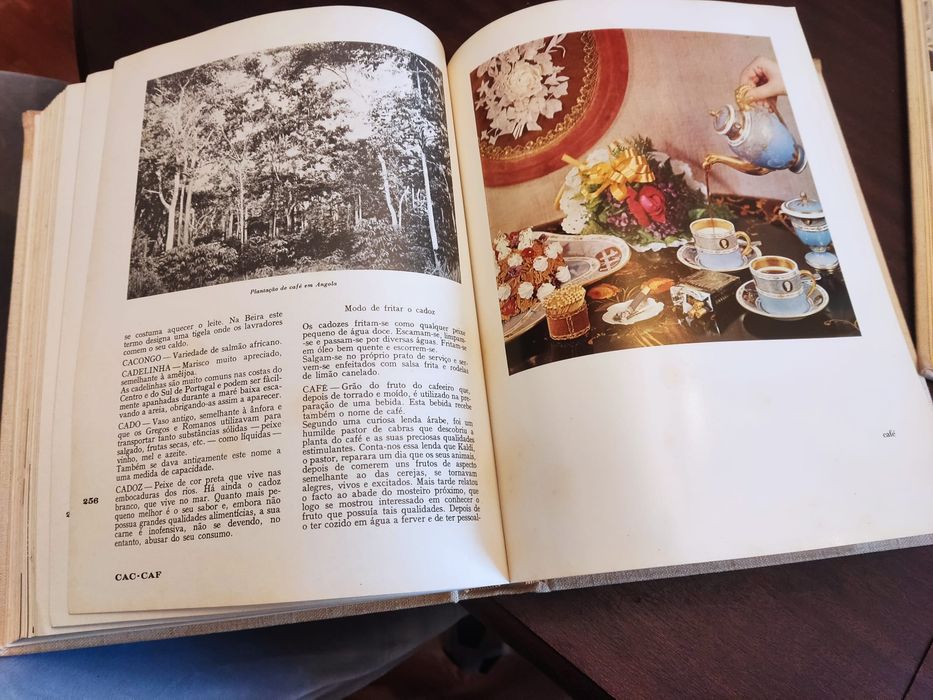 Vendo 2 livros Maria Lourdes Modesto