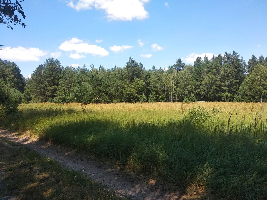 Продам участок в кооперативі Букач