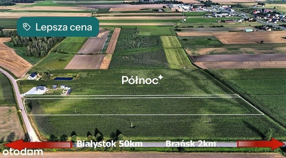 Działki budowlane w Brańsku.