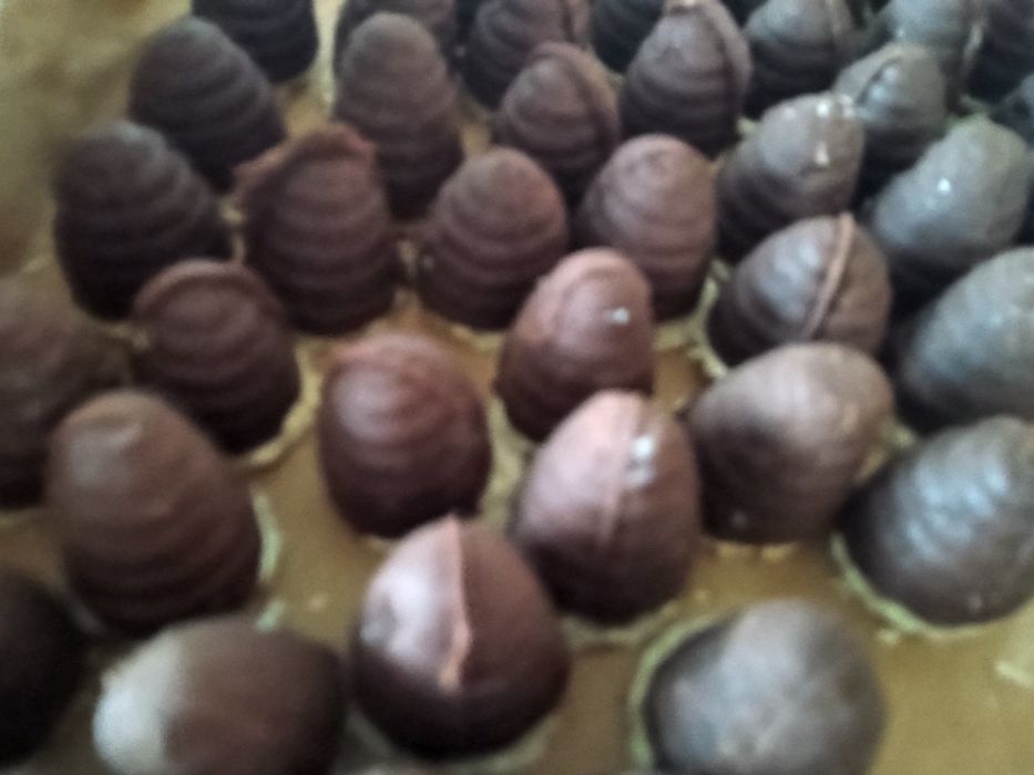 Świąteczne ciasteczka