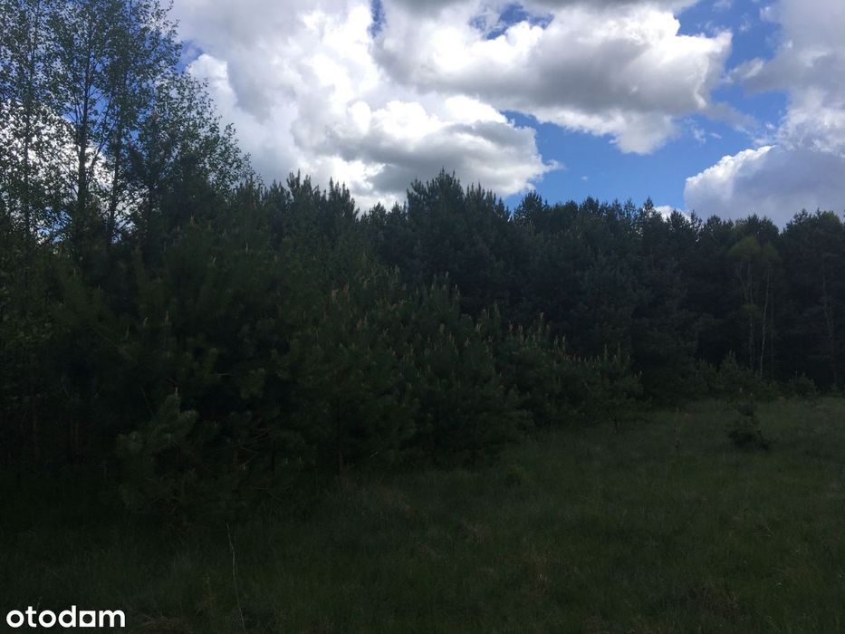Działka rolna Kucbork 10263 m2