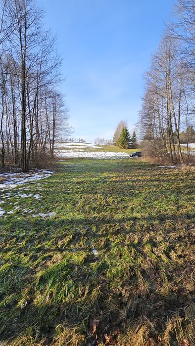 Sprzedam działkę budowlaną na Mazurach, las, rzeczka, blisko jeziora - Widok 3