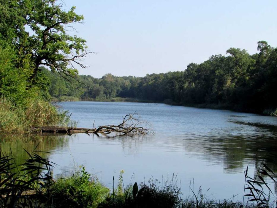 Kotowice, Dolnośląśkie, Siechnice działka budowlna prawie 15a!