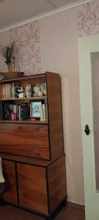Однокомнатная квартира в Академгородке