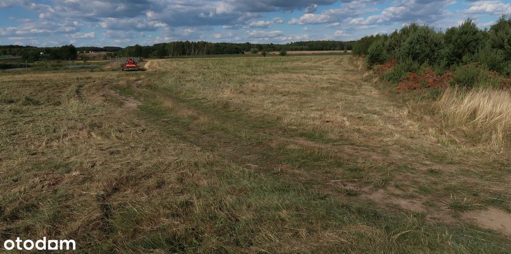 Oddam w dzierżawę 4,8 hektara roli Czerna 1600 zł za hektar rocznie - Widok 3