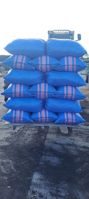 Ekogroszek Polski  27Mj.