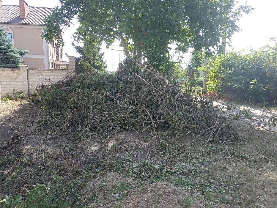 Подрібнювач гілок, измельчитель, дробилка для веток, оренда (аренда).