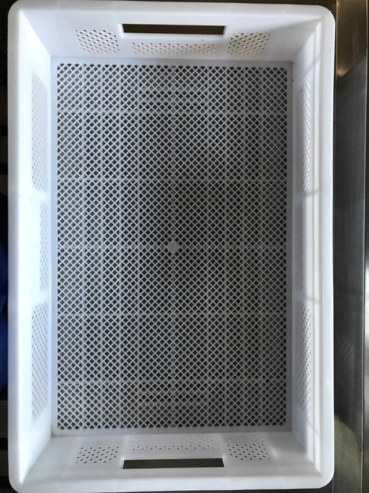 Pastries/Plastic Boxes (Grid-patterned Walls and Bottom – Length 60 cm)64551264771586121