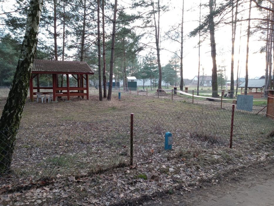 Działka rekreacyjno - rolna i dodatkowo las