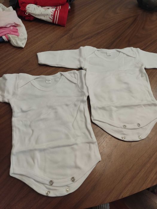 Two Bodysuits, Size 6 Months