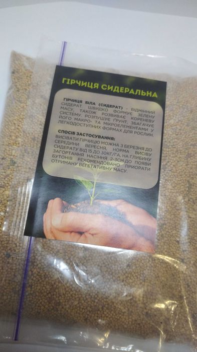 Гірчиця сидеральна