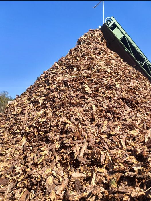 Świeża kora sosnowa