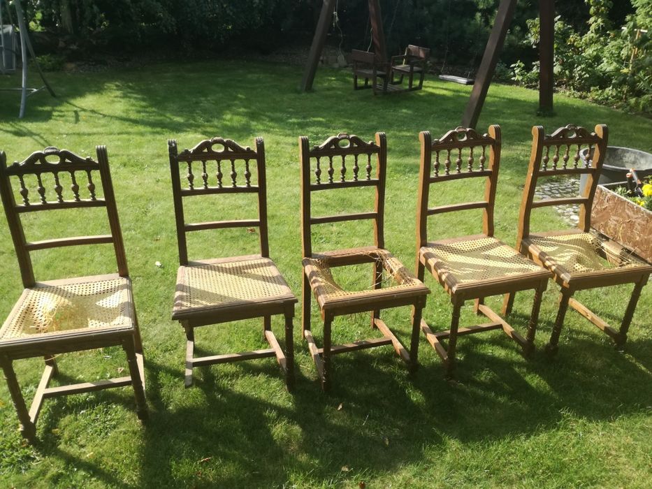 Stare, antyczne krzesła dębowe.