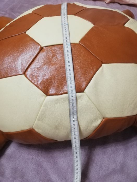 Шкіряна черепаха.