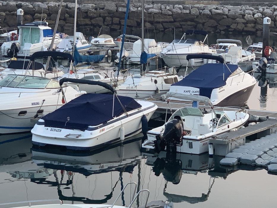 Barco Cobalt Marine 253 | Motor Hp Volvo Penta 5.7 GXi V8