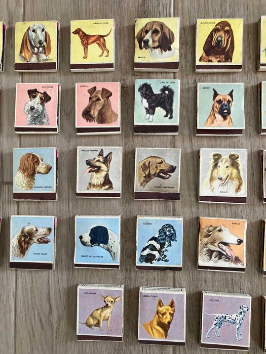 Caixas/ Carteiras de fósforos - Fosforeira Portuguesa - Coleção cães