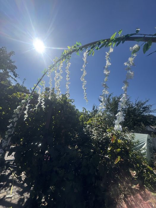 Арка свадедная  аренда