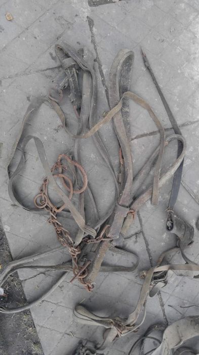 Uprzęże konne 2 pary