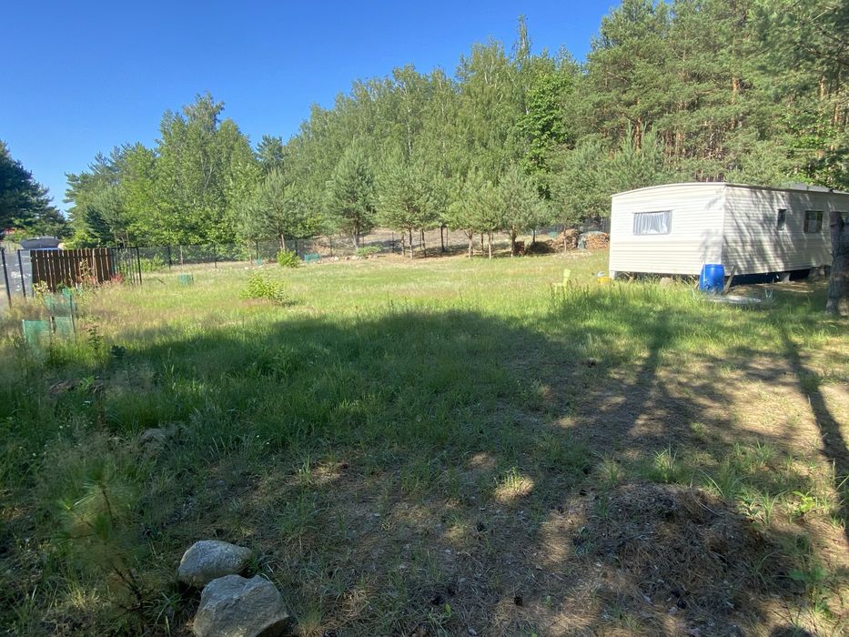 Działka budowlana 1106m² przy Lesie Państwowym | Blisko Jeziora Sumina | Prąd, Studnia, Domek, Altana - Więcej