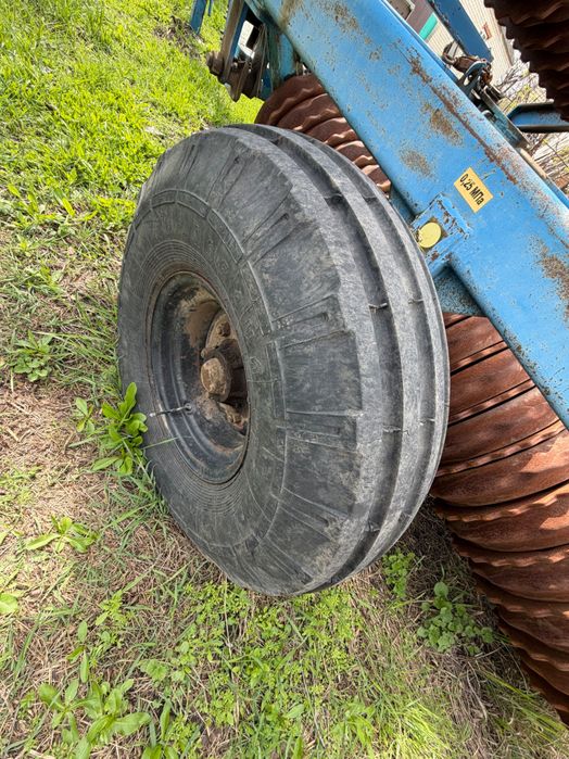 Коток зубчато кільчатий