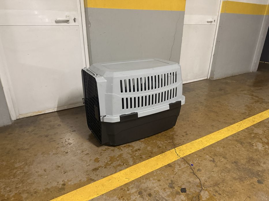 Transportadora de animais (cão)