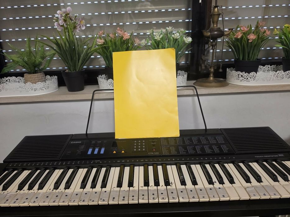 Teclado Casio, ótimo para iniciantes
