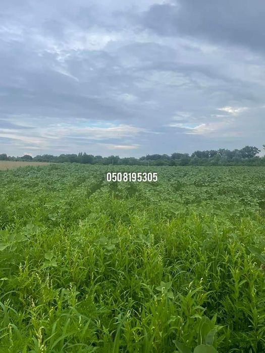 Продається земельний участок біля кордону, м.Чоп