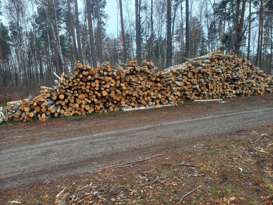 Дрова рубані гарної якості береза, вільха, дуб, граб