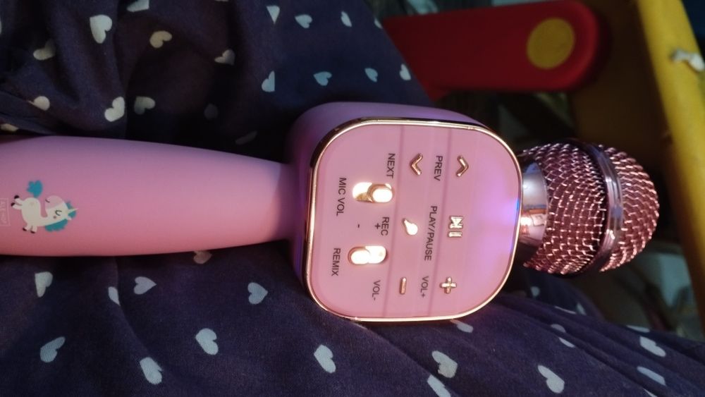 Microfone e gravador