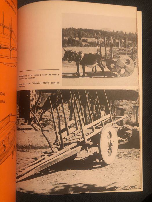 Geographica: Timor-Guiné-Carros de Bois Transmontano