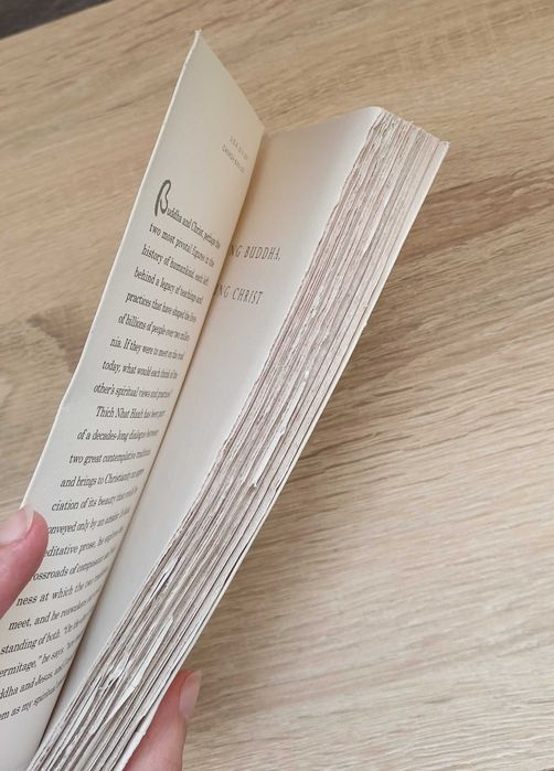 Living Buddha, Living Christ Hanh Thich Nhat buddyzm EN Stan dobry+