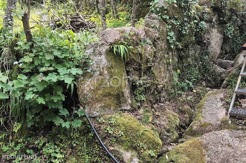 Terreno Rustico em Vieira do Minho