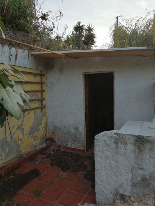 Terreno rústico com lagar e adega, por apartamento com vista de mar.