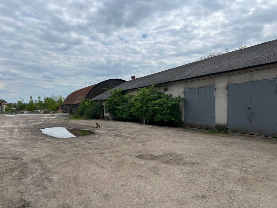 Здаємо в оренду виробничу базу/цех/майстерня/сто склад/гаражі