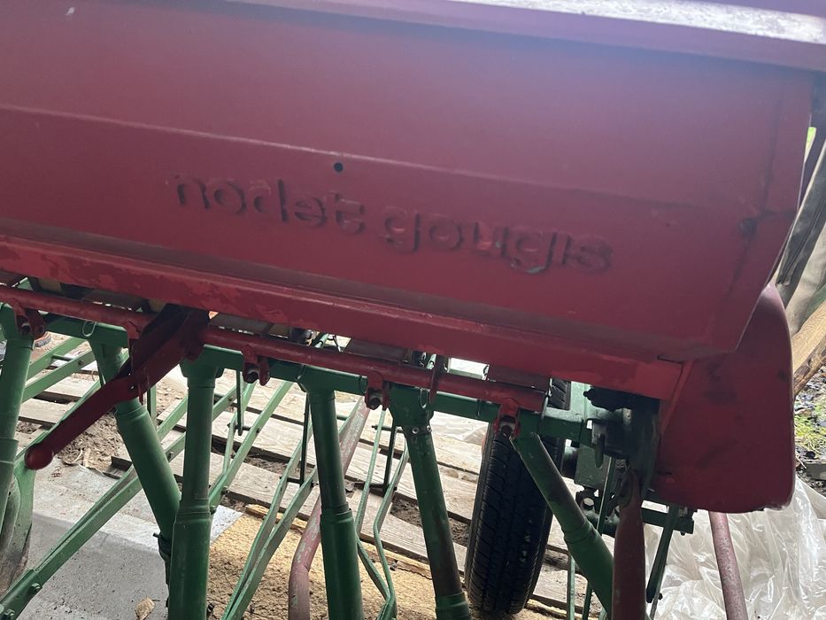 Siewnik nodet gougis