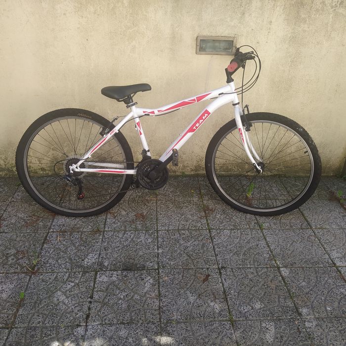 Bicicleta juvenil Team