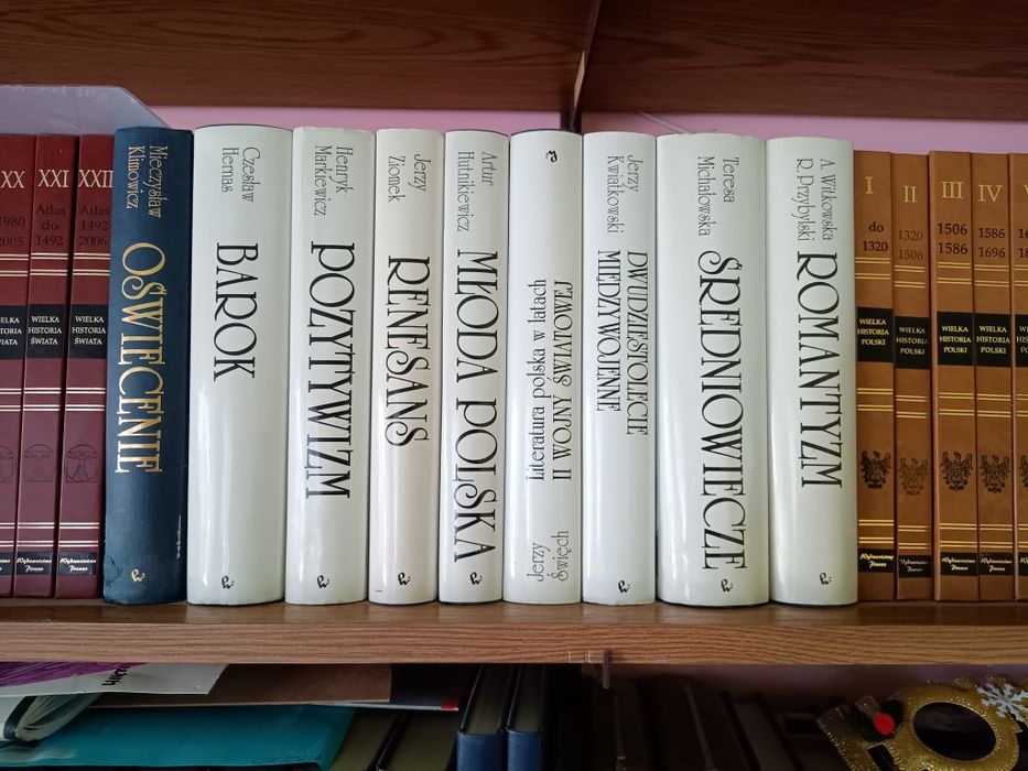 Biblioteczka historyczna-woluminy