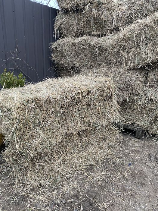 Сіно в тюках