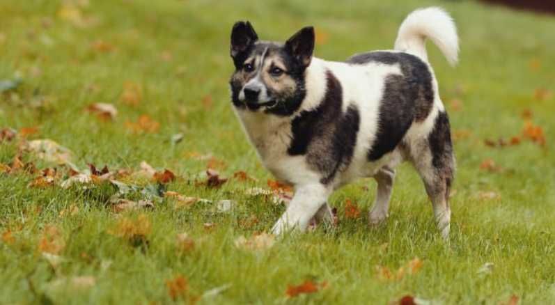 Zapomniany i niechciany Atos...