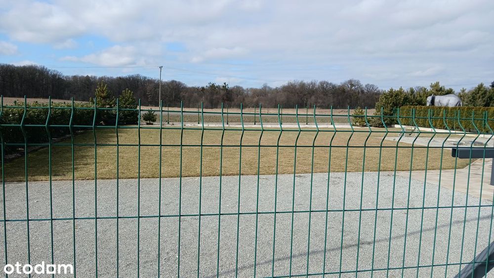 Działka w Środzie Śląskiej - Widok 2