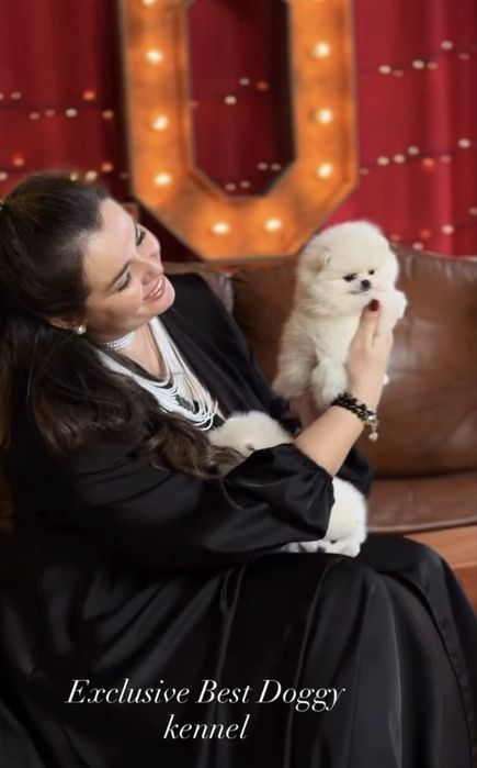 Цуценята померанські шпіци. SUPER VIP в типі ведмедик з документами