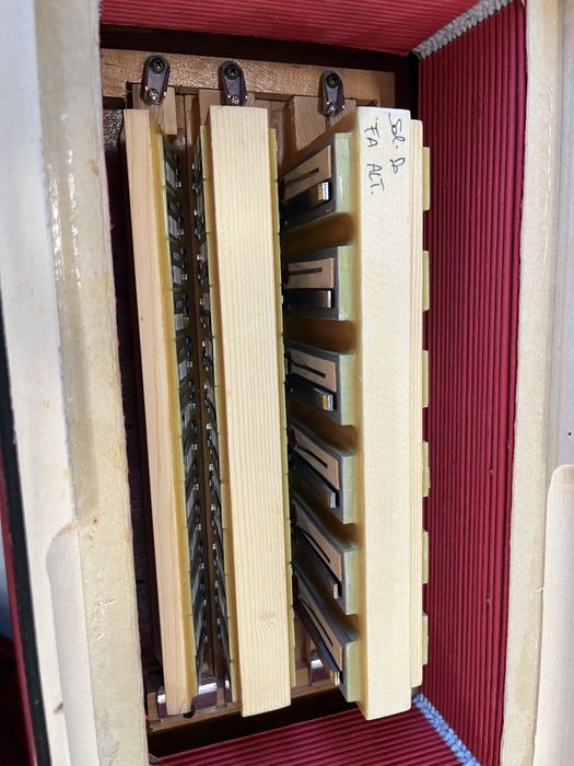 Concertina Dino Baffetti