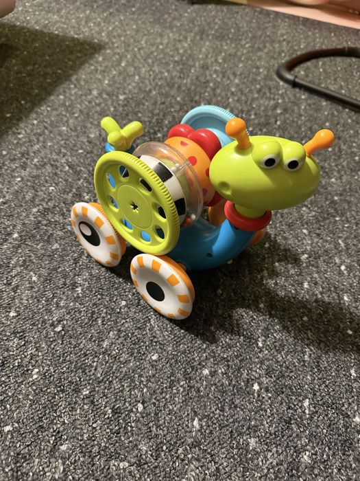 Slimak jezdzacy do nauki raczkowania