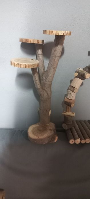 Жердинки, полички для папуг.