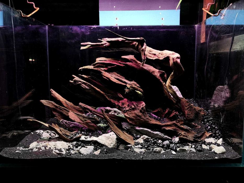 Korzeń Drift Wood - Szybko tonący 1kg do akwarium, Sklep Turkusowe Zoo