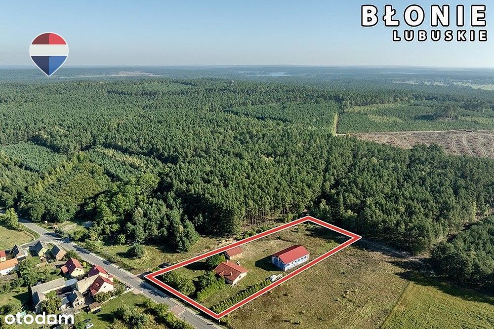 Dom parterowy, wysoka hala, garaże i pół hektara!