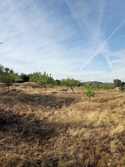 terreno agricola